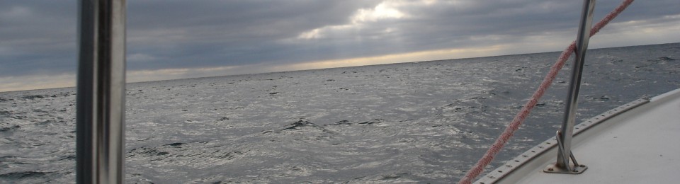 The Adventures of Captain Bob